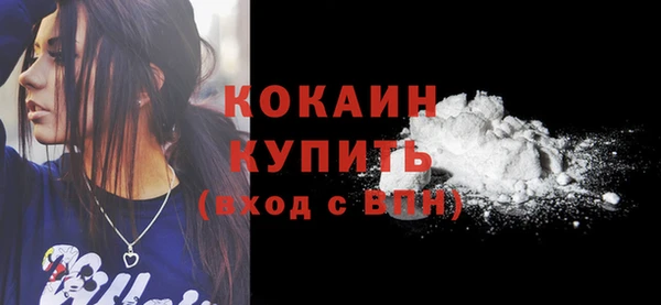 спиды Богородицк