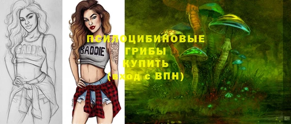 spice Бородино