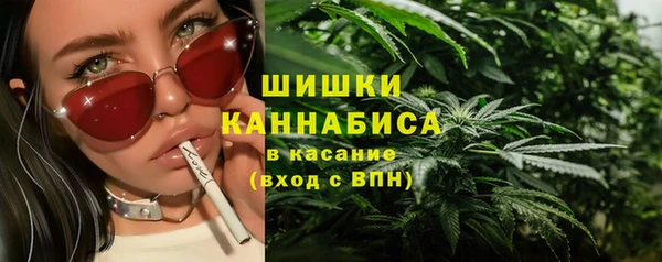 спиды Богородицк
