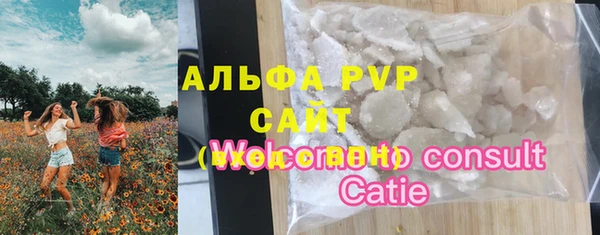 спиды Богородицк