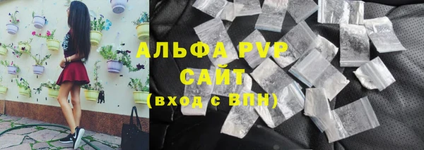 стаф Богданович