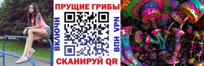 kraken как зайти  Обь  Галлюциногенные грибы MAGIC MUSHROOMS 